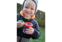 EDUPLAY Lupendose mit Plastikspinne Bild 3
