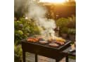 BBQ-Toro Grillrost Gusseisen 45x35 cm Emailliert Bild 1