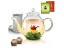 Creano Teekanne Hoch 1,0l Glas mit Edelstahl-Sieb & 2 Erblüh-Tees Bild 2