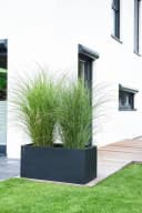 VIVANNO Pflanzkübel MAXI Fiberglas Anthrazit Matt Bild 3