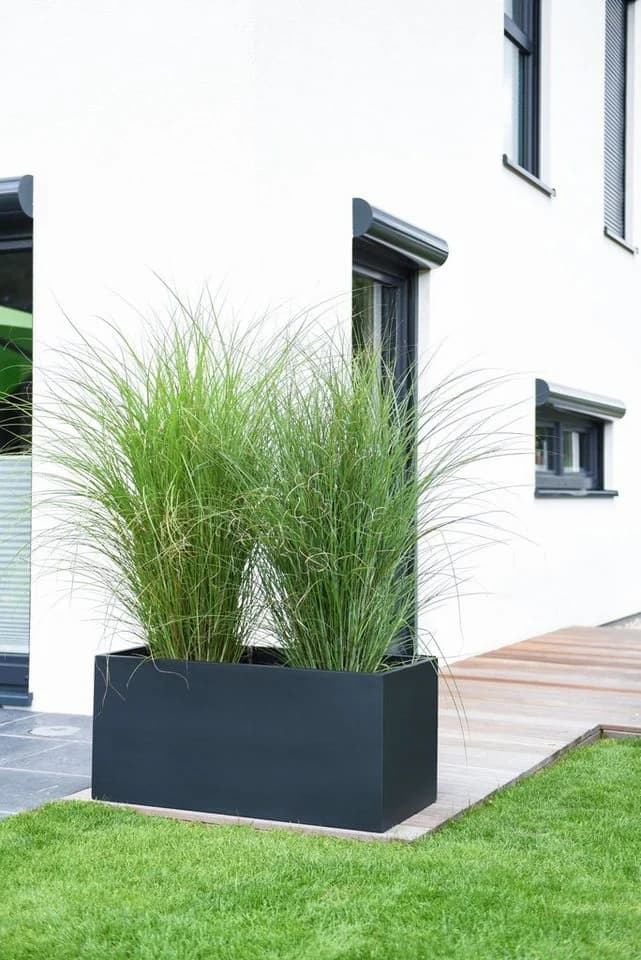 VIVANNO Pflanzkübel MAXI Fiberglas Anthrazit Matt - Bild 3