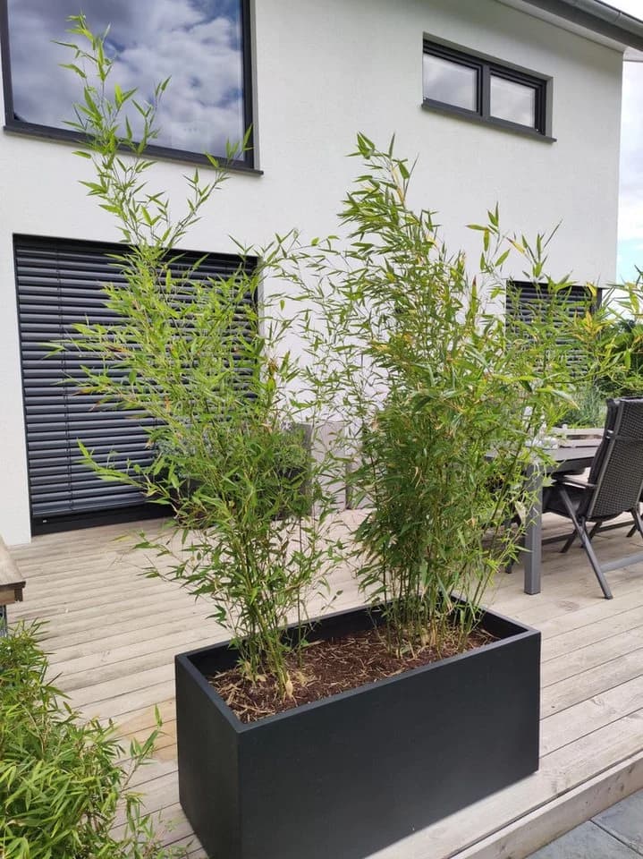 VIVANNO Pflanzkübel MAXI Fiberglas Anthrazit Matt - Bild 5
