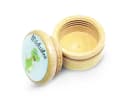 GICO Milchzahndose Dino Holz 44 mm Bild 1