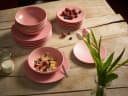 ECHTWERK Tafelservice Blanka Nature Design 12-tlg. Rosa Steingut Bild 1