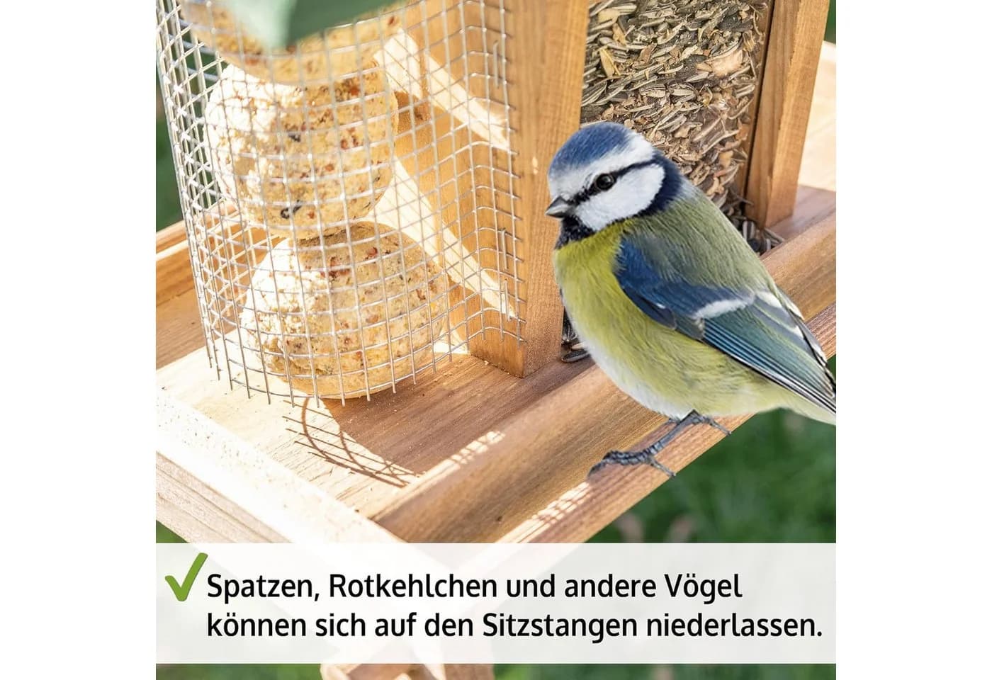 Zooprinz Vogelhaus Bird Kitchen mit Sitzstangen, Schutzdach, Seil für Wildvögel, Plexiglasscheiben, wetterfestes Vollholz - Bild 5