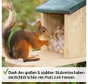 Zooprinz Eichhörnchenkobel Futterhaus mit Plexiglas Premium Vollholz Bild 5
