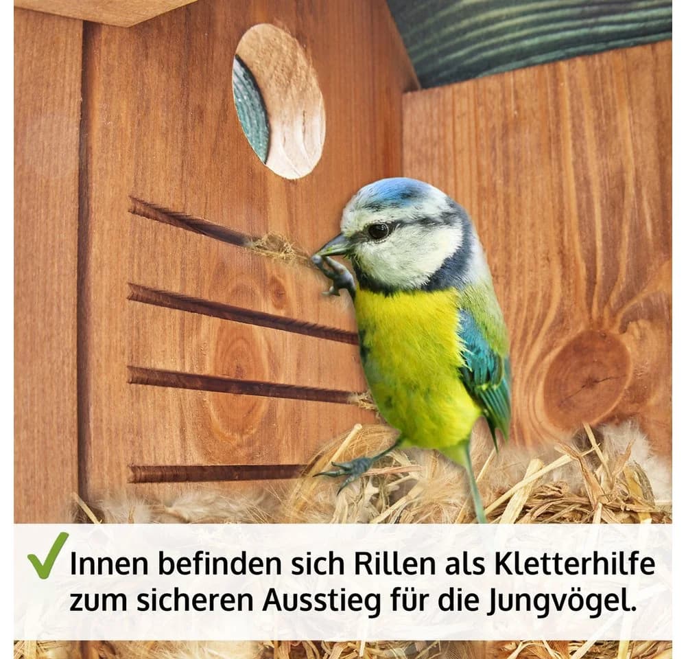 Zooprinz Nistkasten Vogelhaus Grün Satteldach Vollholz - Bild 3