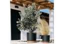 KAGM Blumentopf Anthrazit Kunststoff Rund mit Untersetzer Bild 3