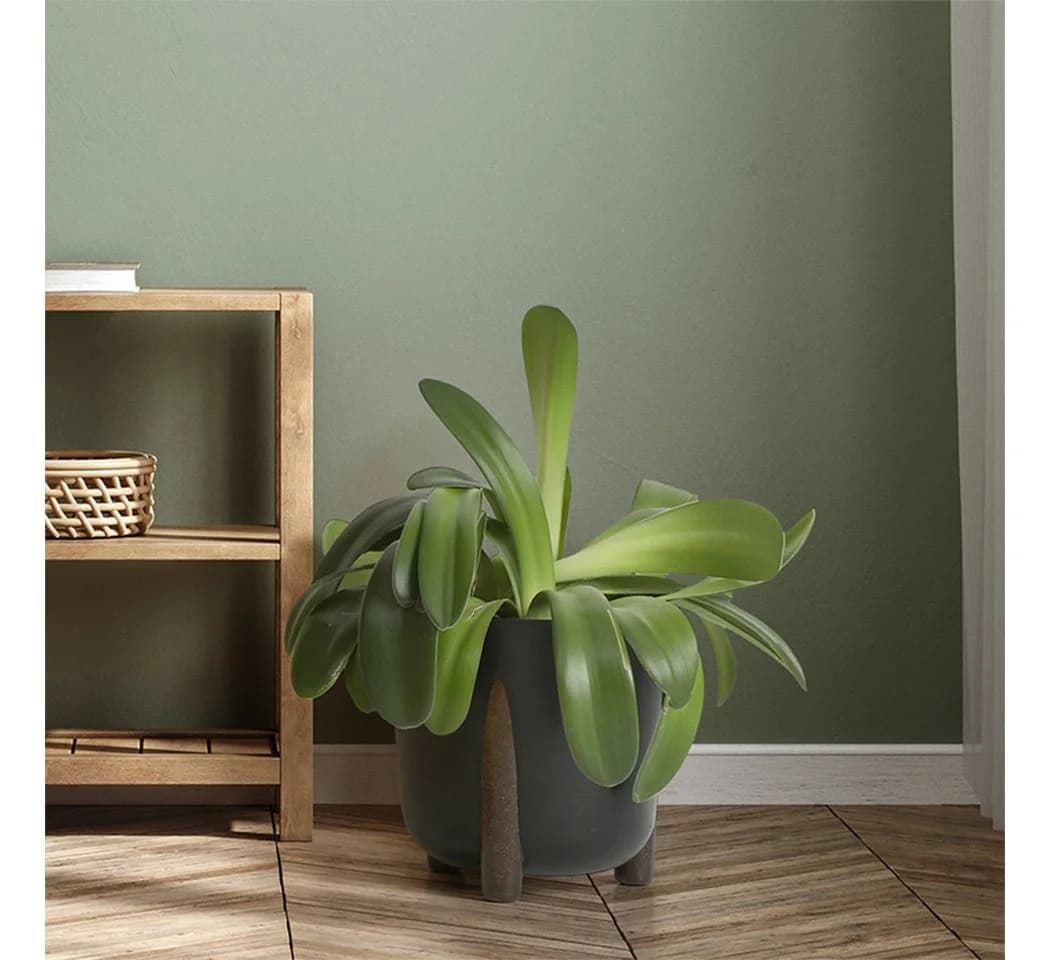KAGM Blumentopf mit Füßen und Wasserspeicher Anthrazit