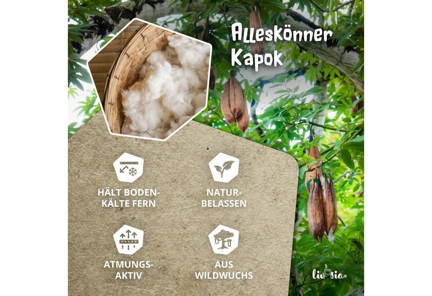 livasia Thaikissen 3 Auflagen Blau Kapok Füllung - Bild 5
