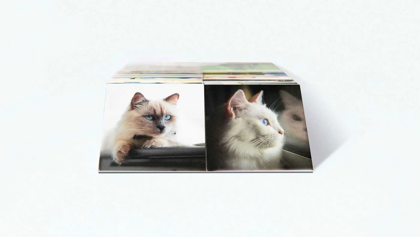 Remember Gedächtnisspiel CATS mit 44 Bildpaaren - Bild 4