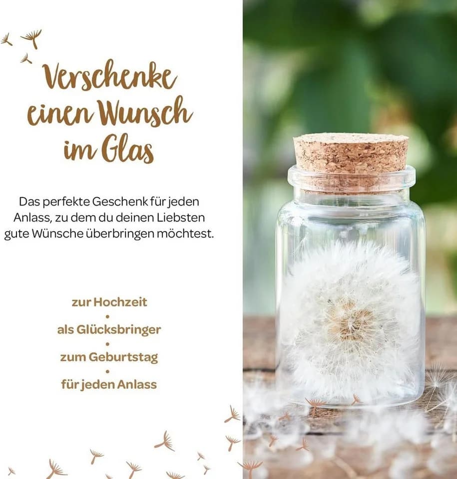 Trockenblume Echte Pusteblume Löwenzahn im Glas - Die Stadtgärtner - Bild 4
