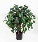 Kunstbaum Ficus Benjamini Grün Seidenblumen Roß Bild 2