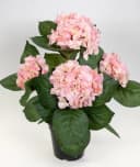 Seidenblumen Roß Hortensienbusch Deluxe Rosa mit Topf Bild 1