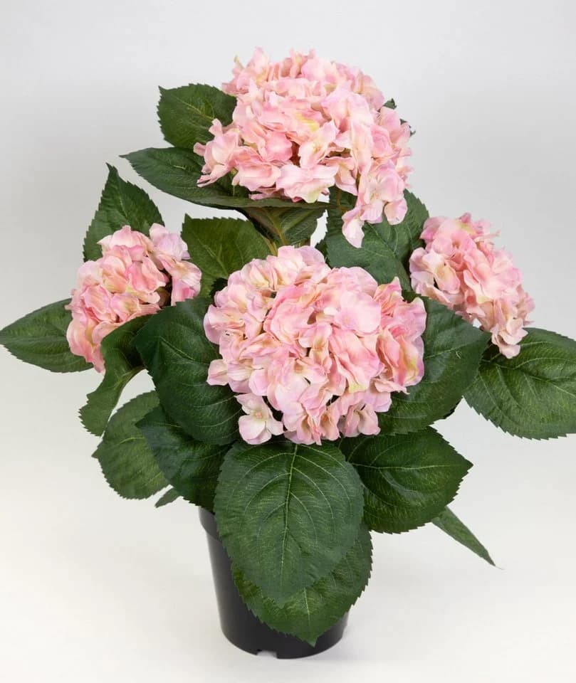 Seidenblumen Roß Hortensienbusch Deluxe Rosa mit Topf