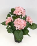Seidenblumen Roß Hortensienbusch Deluxe Rosa mit Topf Bild 2