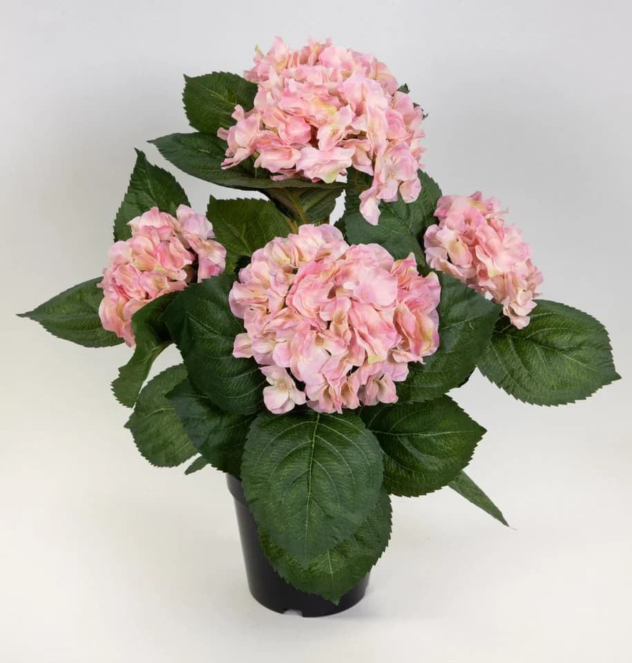 Seidenblumen Roß Hortensienbusch Deluxe Rosa mit Topf - Bild 3