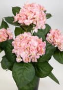 Seidenblumen Roß Hortensienbusch Deluxe Rosa mit Topf Bild 4