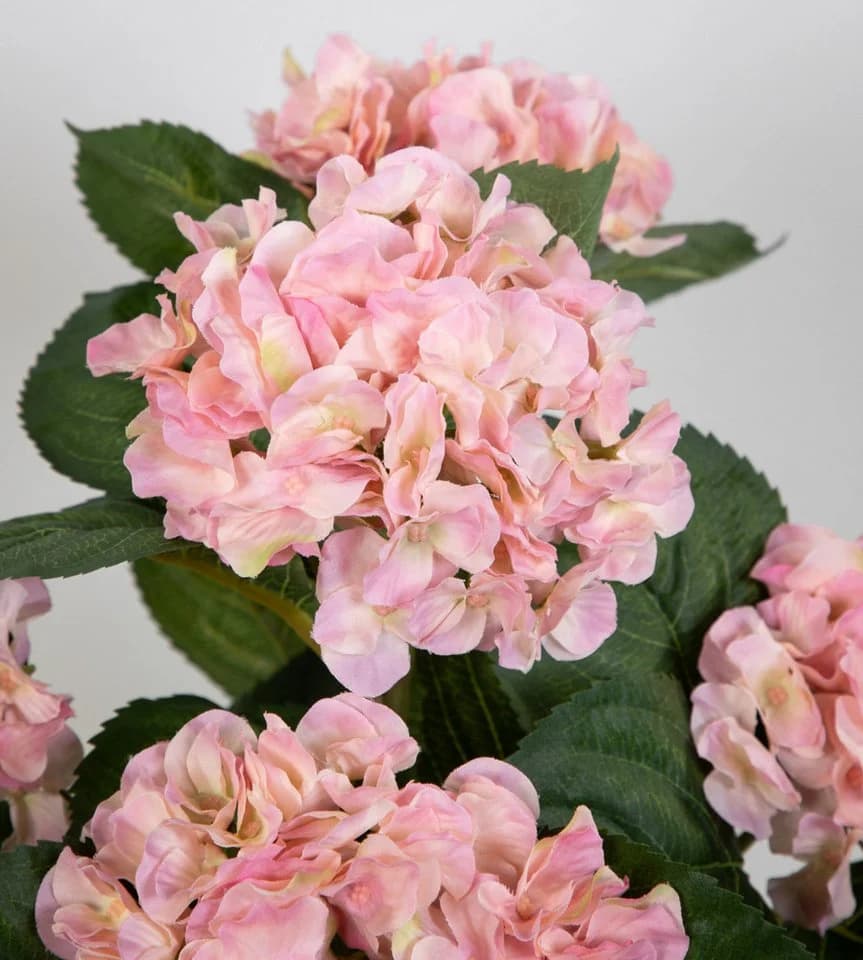 Seidenblumen Roß Hortensienbusch Deluxe Rosa mit Topf - Bild 5
