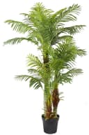 Arnusa Kunstpalme KP103 mit 3 Stämmen 180cm Hoch Bild 2