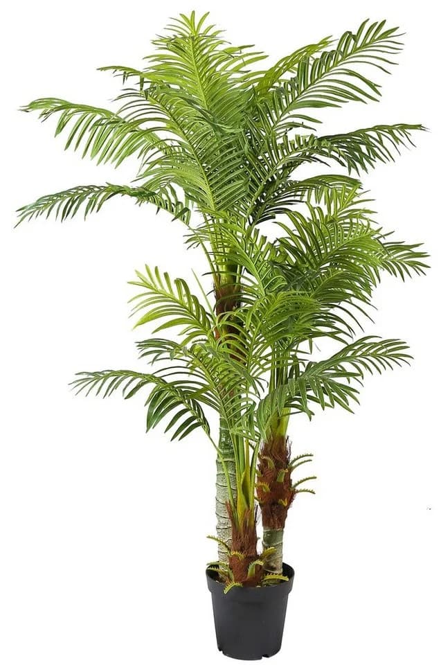 Arnusa Kunstpalme KP103 mit 3 Stämmen 180cm Hoch - Bild 2