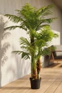 Arnusa Kunstpalme KP103 mit 3 Stämmen 180cm Hoch Bild 5