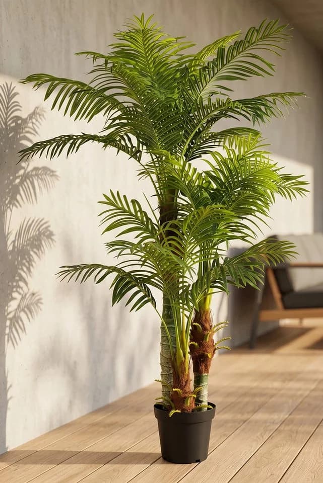 Arnusa Kunstpalme KP103 mit 3 Stämmen 180cm Hoch - Bild 5