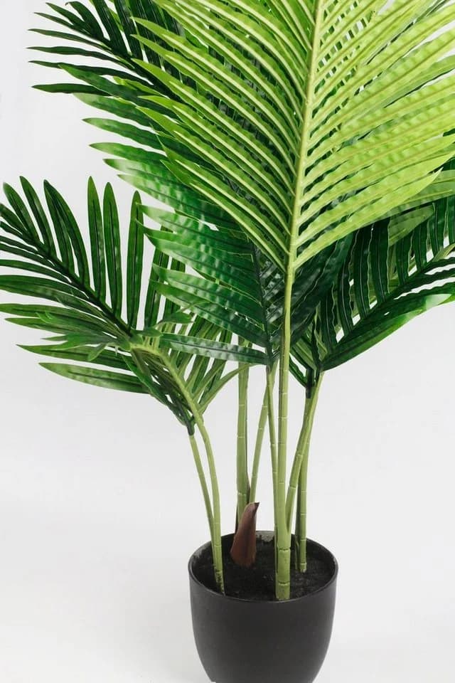 Arnusa Kunstpalme KP111 Grün Real-Touch 90 cm Im Topf - Bild 4