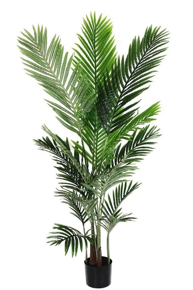 Arnusa Kunstpalme 140 cm Grün Real-Touch Fertig Getopft - Bild 2