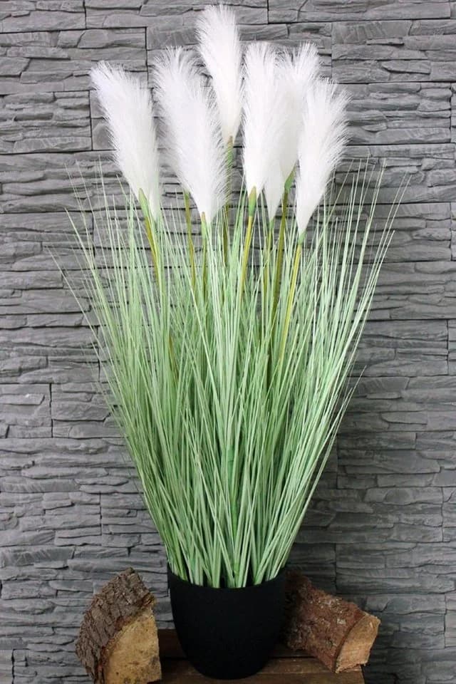 Arnusa Künstliches Pampasgras 120 cm Grün im Topf - Bild 4