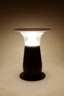 Arnusa LED Solarleuchte Gartenlampe Schwarz Duo Color Bild 5