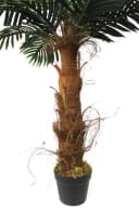 Arnusa Kunstpalme 100 cm Realistische Palme mit Palmenfasern Bild 1