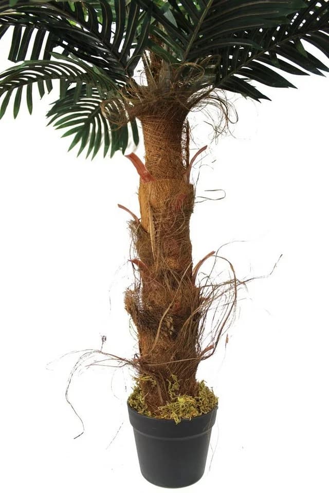 Arnusa Kunstpalme 100 cm Realistische Palme mit Palmenfasern