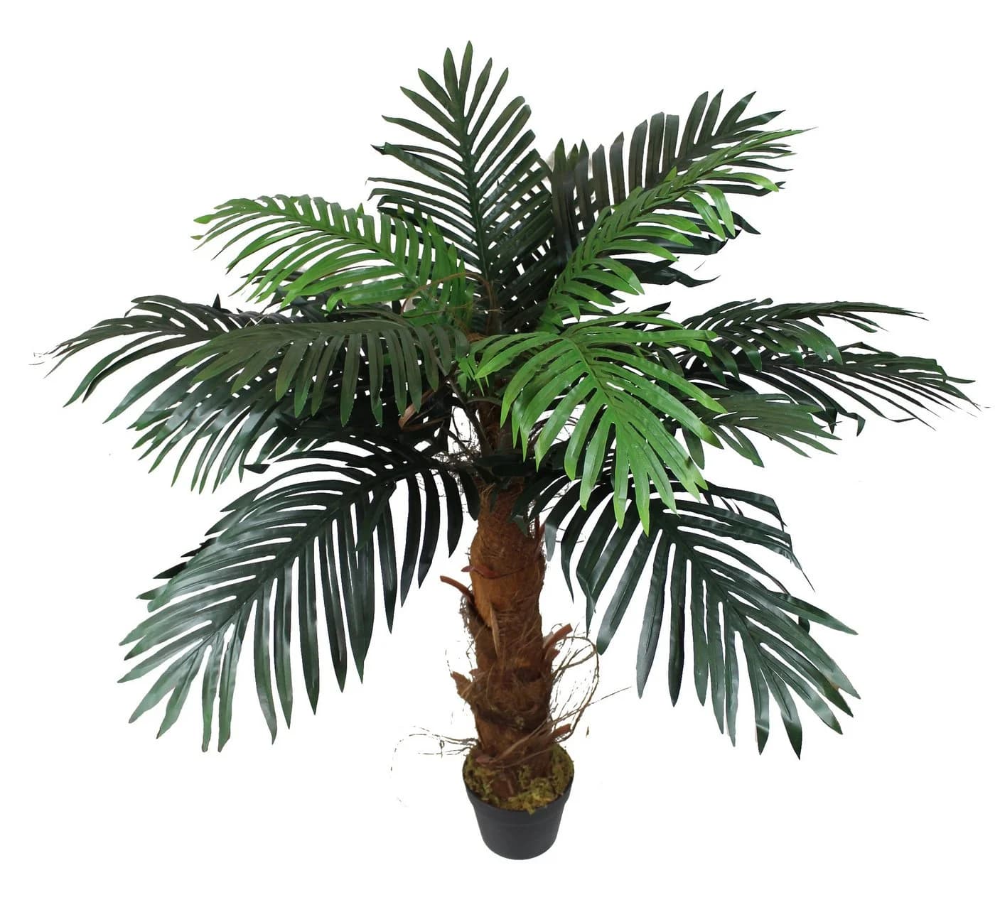 Arnusa Kunstpalme 100 cm Realistische Palme mit Palmenfasern - Bild 3