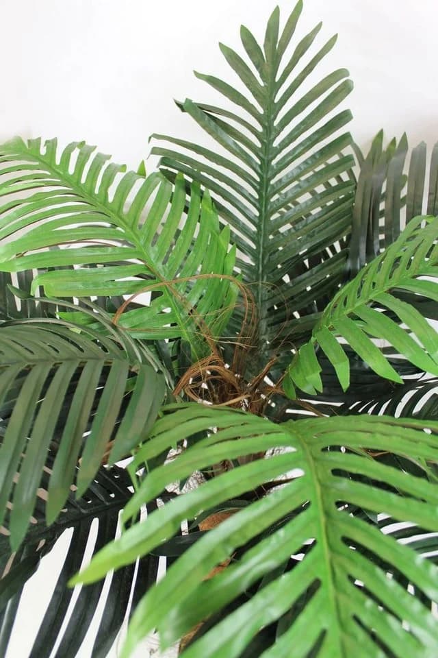 Arnusa Kunstpalme 100 cm Realistische Palme mit Palmenfasern - Bild 4