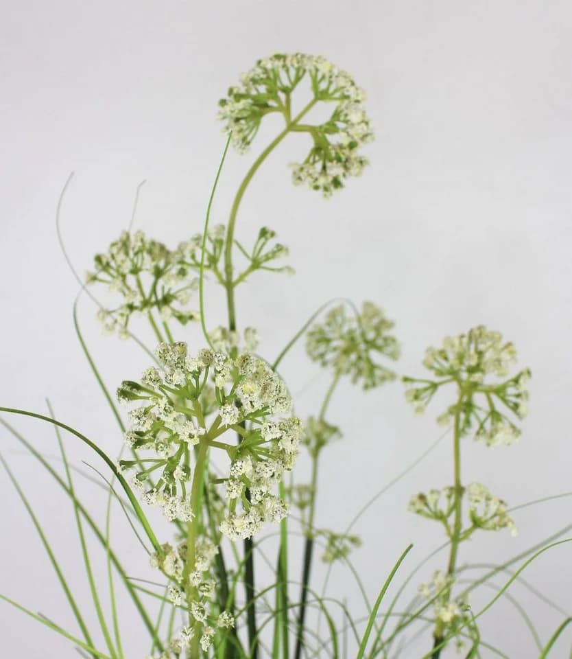 Arnusa Kunstgras 90 cm mit weißen Blüten im Topf