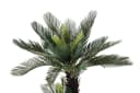Arnusa Kunstpalme Cycas Palme 100 cm Grün 41 Wedel Bild 1