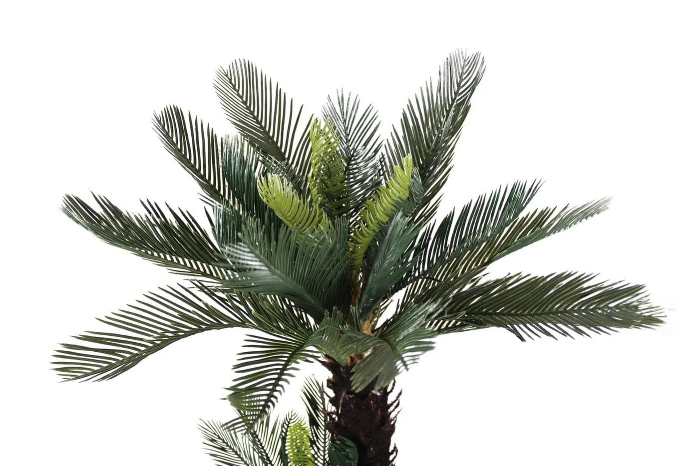 Arnusa Kunstpalme Cycas Palme 100 cm Grün 41 Wedel