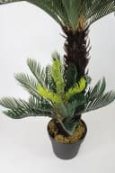Arnusa Kunstpalme Cycas Palme 100 cm Grün 41 Wedel Bild 3