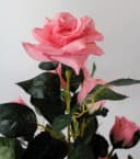 Arnusa Kunstrose Rosa mit Echtholz-Stamm 90 cm Bild 3