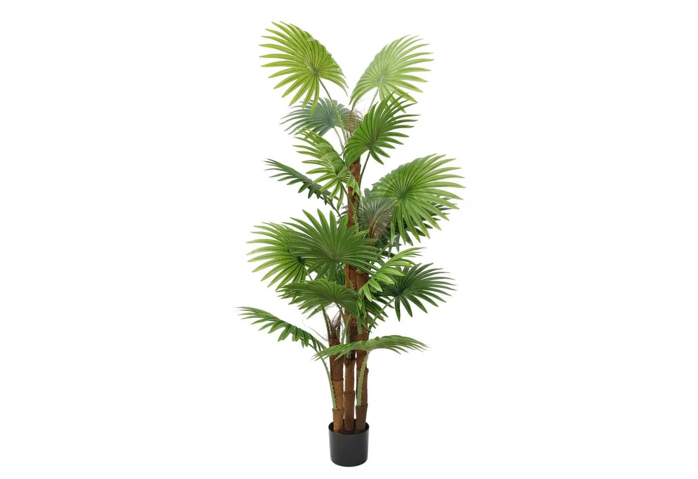 Künstliche Palme 160 cm Fächerpalme Kunstpflanze Arnusa - Bild 2