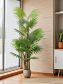Künstliche Palme 160 cm Fächerpalme Kunstpflanze Arnusa Bild 4
