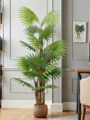 Künstliche Palme 160 cm Fächerpalme Kunstpflanze Arnusa Bild 5