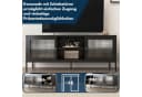 Coemo Sideboard Tokio Schwarz TV-Schrank Metall Glastür Lowboard Fernsehtisch Bild 4