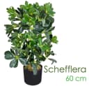 Decovego Künstliche Schefflera 60 cm Grün Bild 1