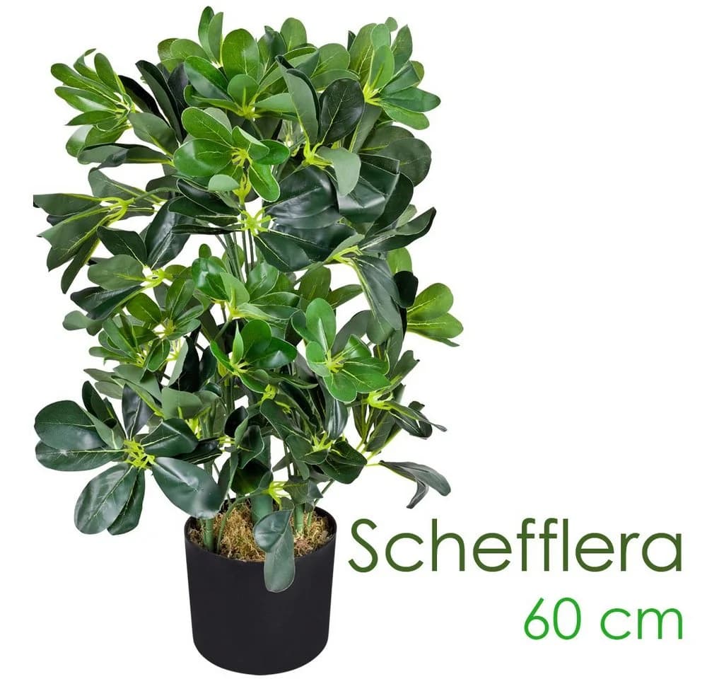 Decovego Künstliche Schefflera 60 cm Grün