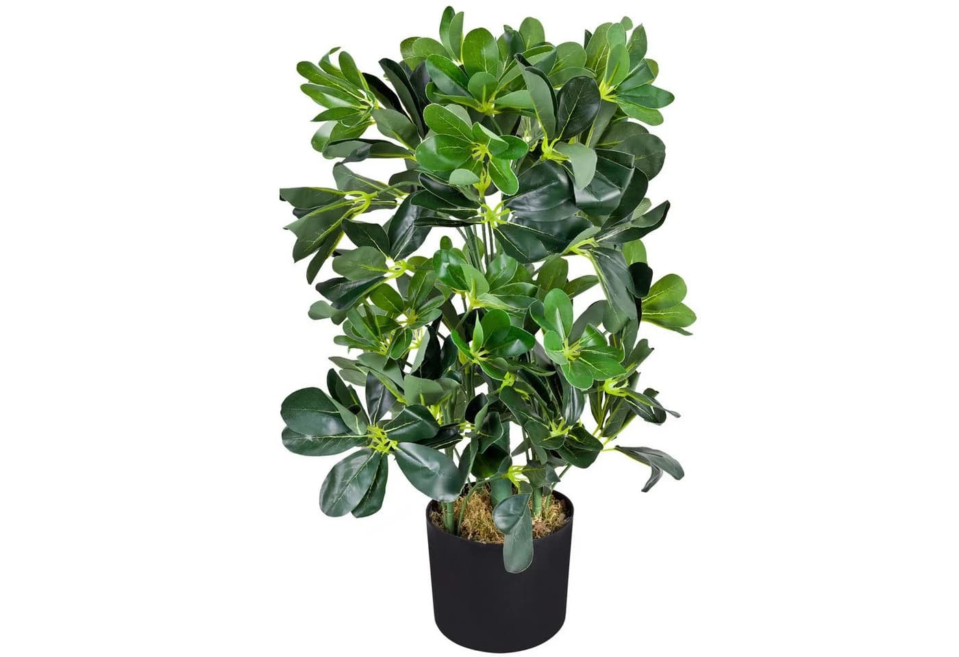 Decovego Künstliche Schefflera 60 cm Grün - Bild 2