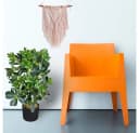 Decovego Künstliche Schefflera 60 cm Grün Bild 4