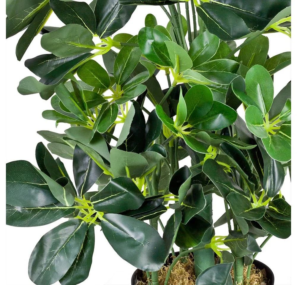 Decovego Künstliche Schefflera 60 cm Grün - Bild 5