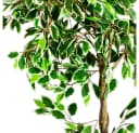 Decovego Kunstbaum Ficus Benjamin 160cm Weiß mit Echtholz Bild 1